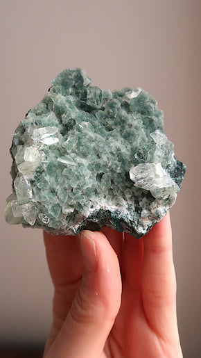 Special: Sparkly Apophyllite