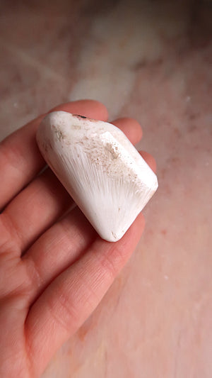 Scolecite Tumble