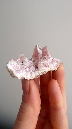 Small Pink Amethyst Cluster