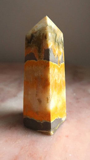 Bumble Bee Jasper Point