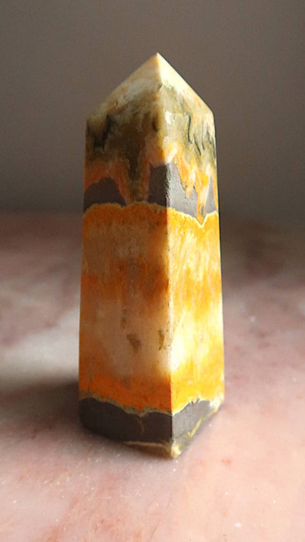 Bumble Bee Jasper Point