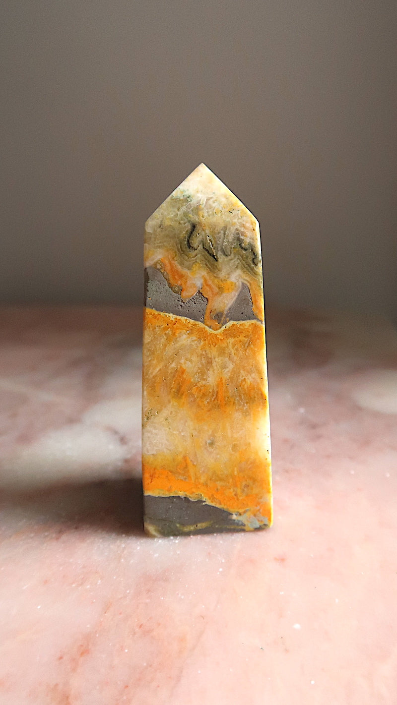 Bumble Bee Jasper Point