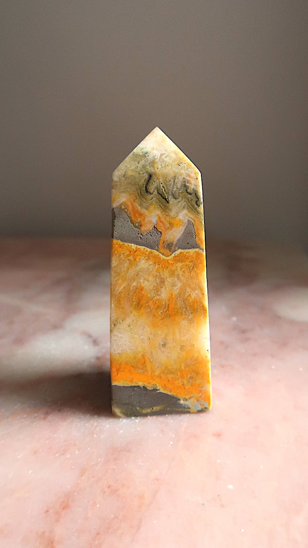 Bumble Bee Jasper Point