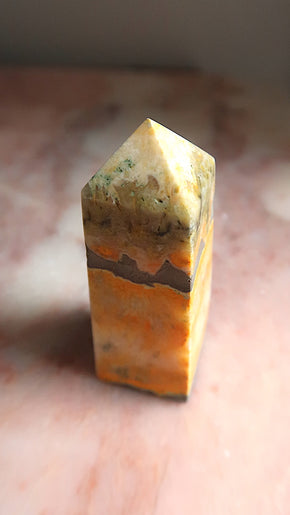 Bumble Bee Jasper Point
