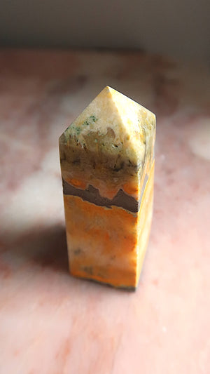 Bumble Bee Jasper Point