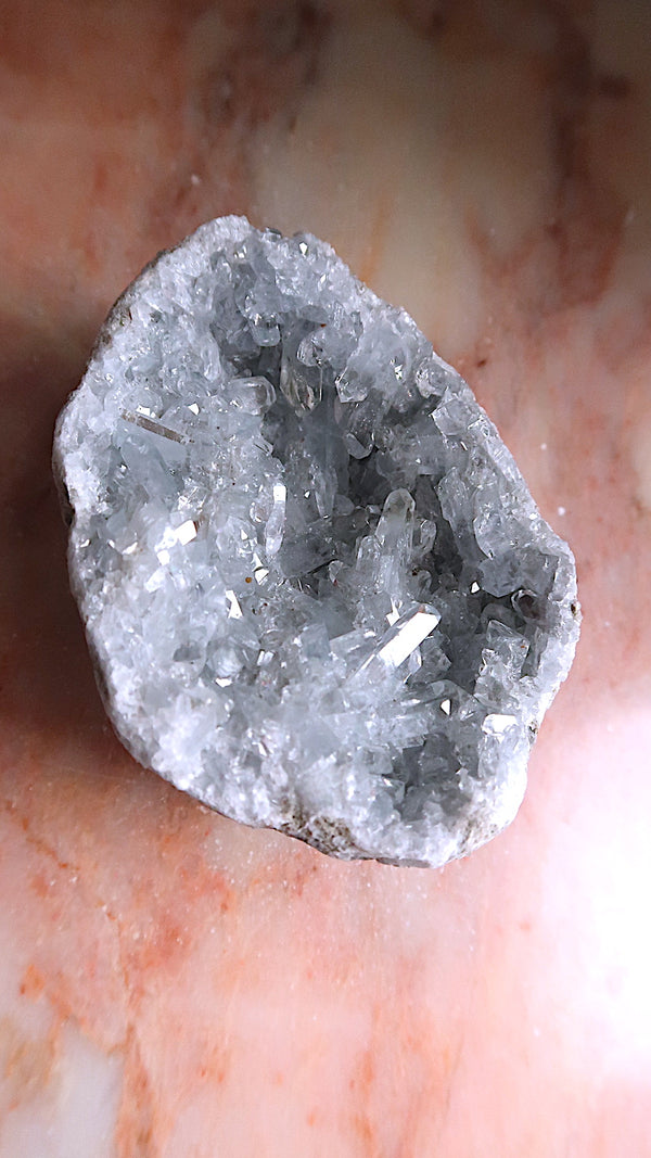 Large Premium Celestite