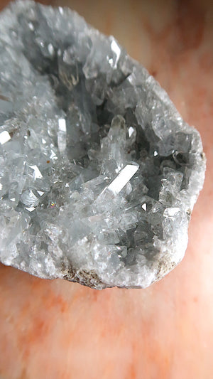 Large Premium Celestite