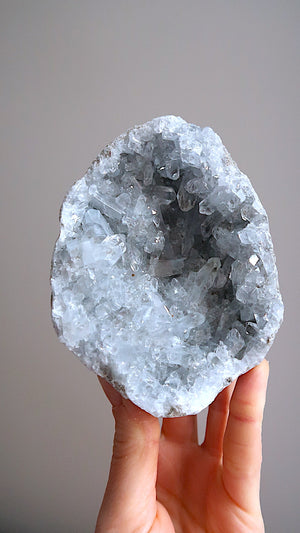 Large Premium Celestite