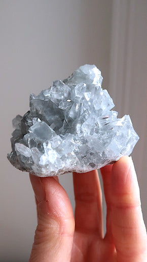 Premium Celestite