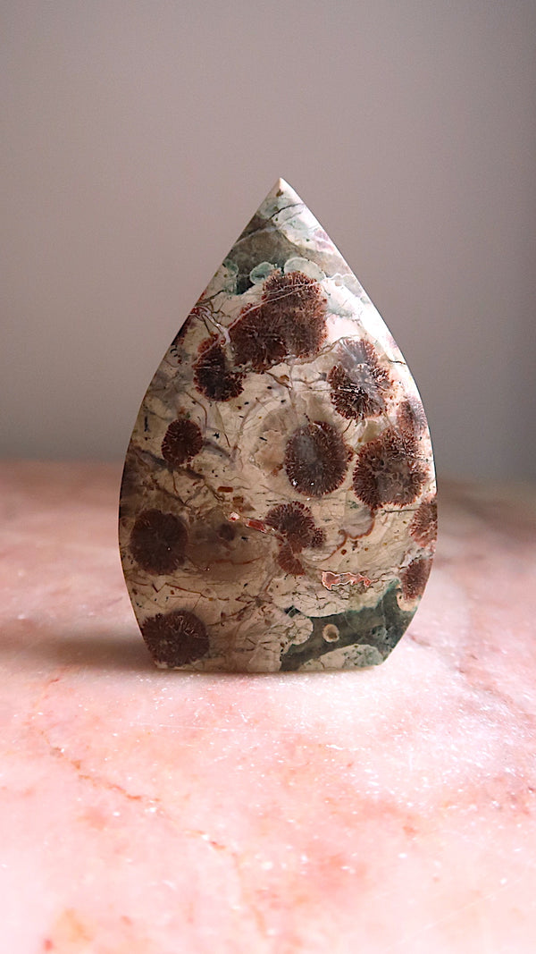 Sakura Jasper