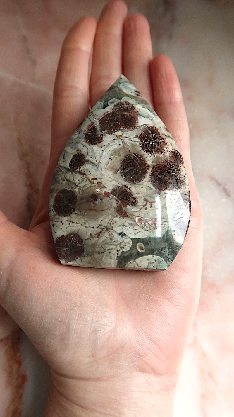 Sakura Jasper
