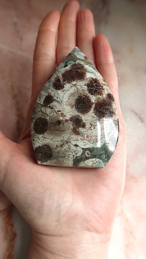 Sakura Jasper
