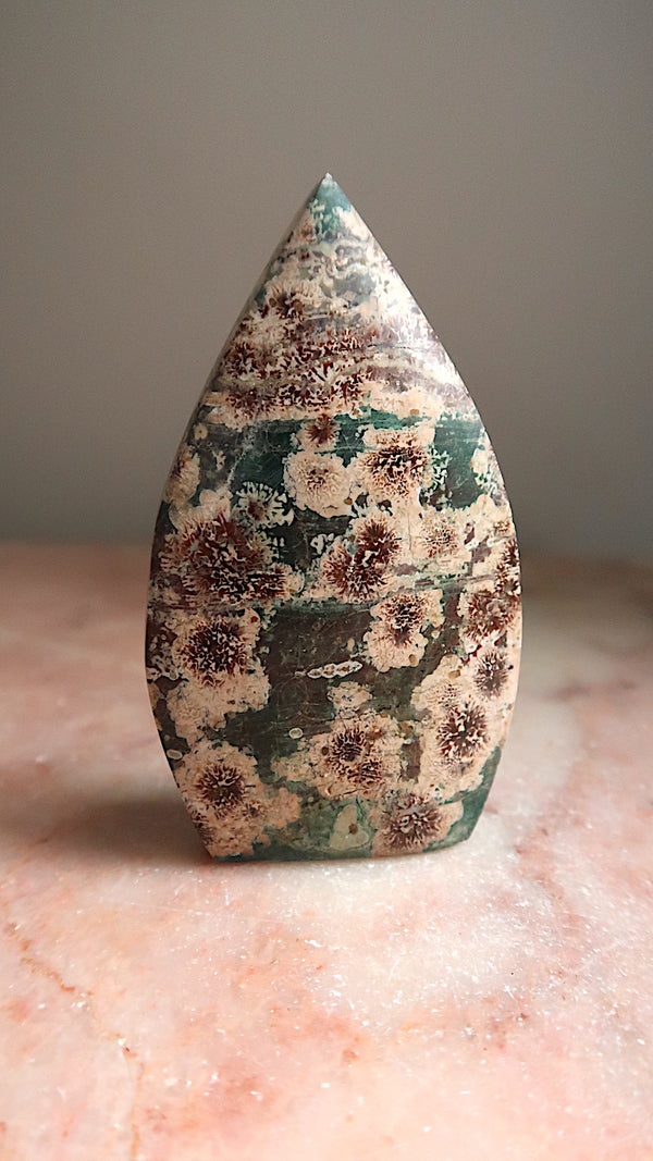 Sakura Jasper
