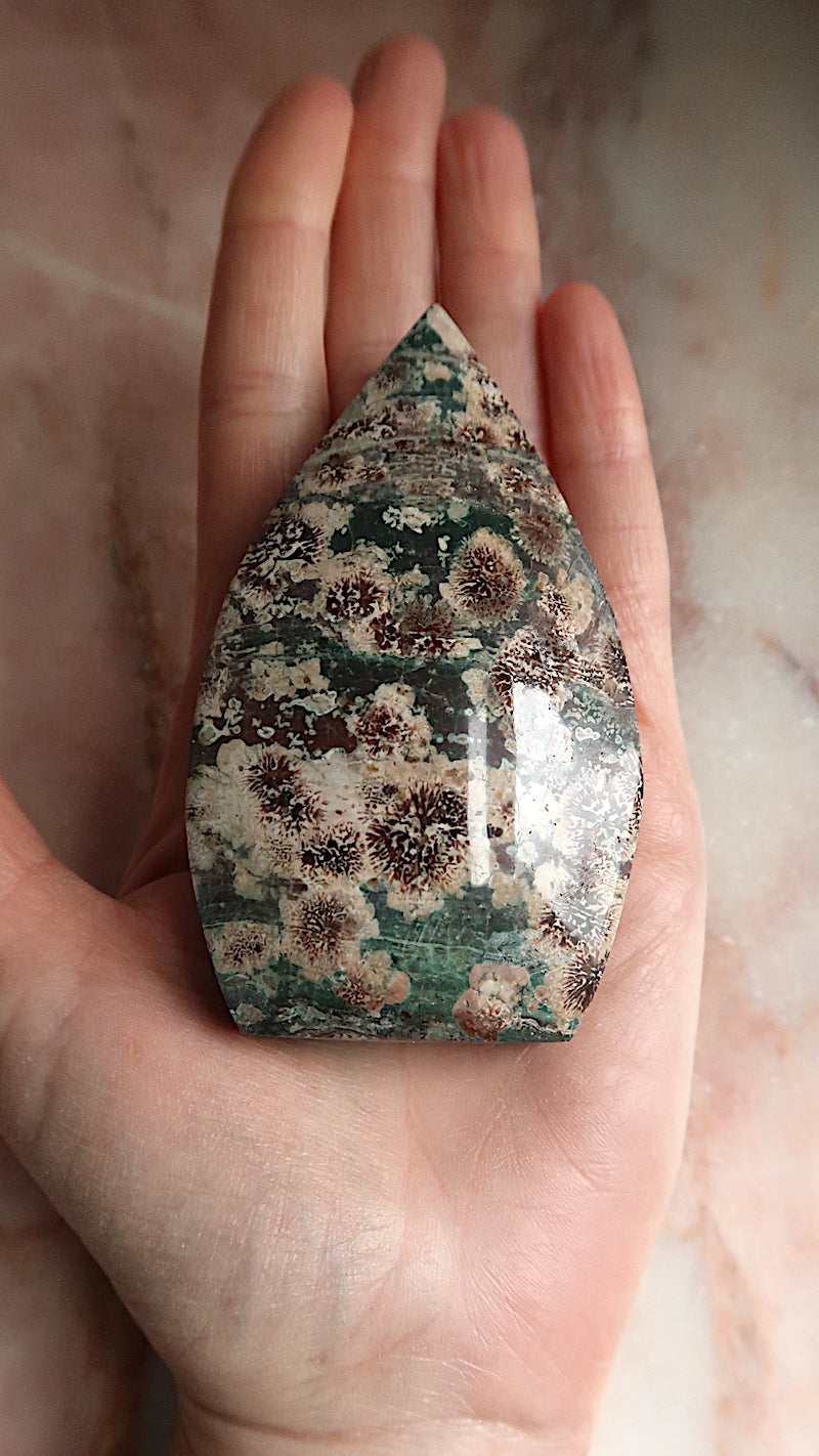 Sakura Jasper