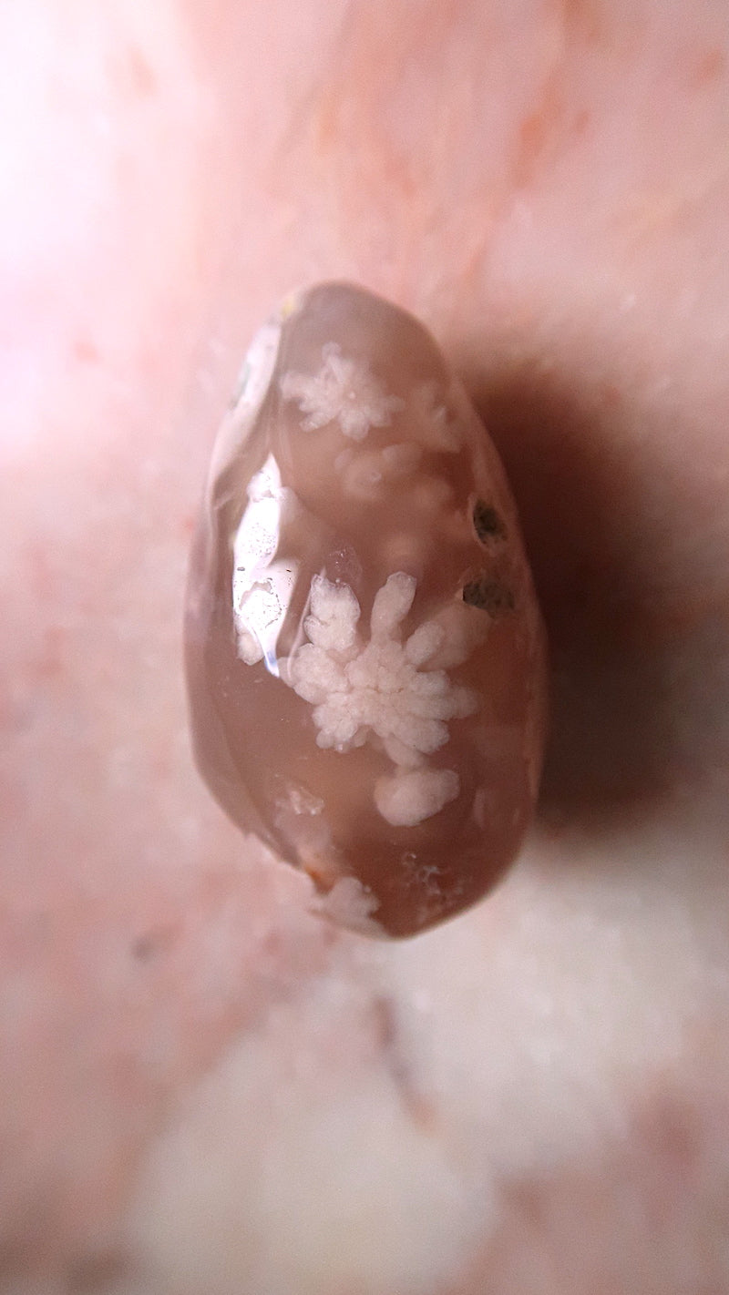 Pink Flower Agate