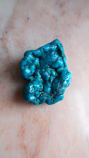 Large Premium Turquoise