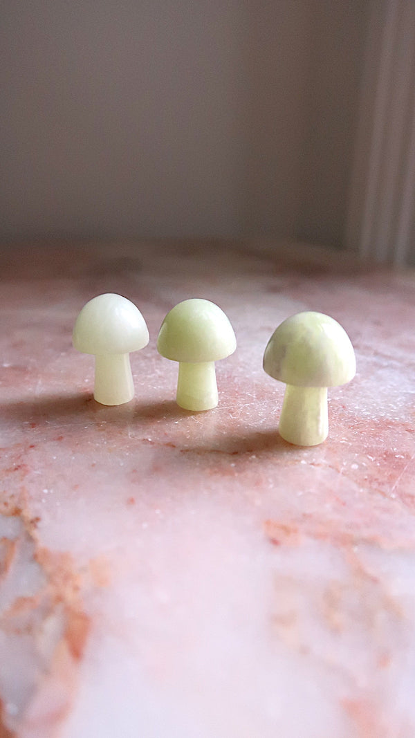 Serpentine Mushroom