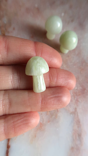 Serpentine Mushroom