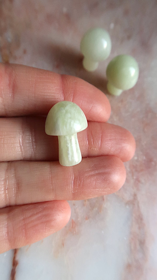Serpentine Mushroom