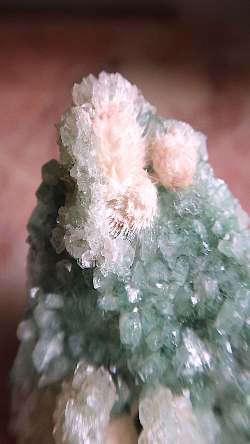 Special: Blue Green Apophyllite