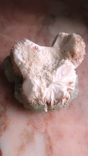 Special: Large Green Apophyylite