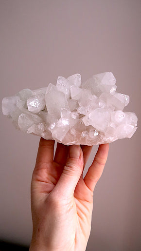 Special: Clear & Pink Apophyllite Cluster