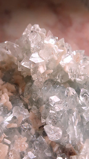 Special: Large Apophyllite Flowers & Stilbite
