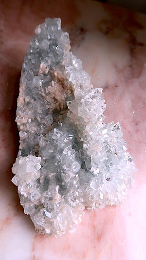 Special: Large Apophyllite Flowers & Stilbite