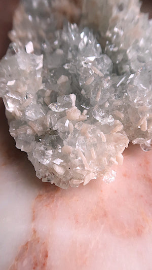 Special: Large Apophyllite Flowers & Stilbite