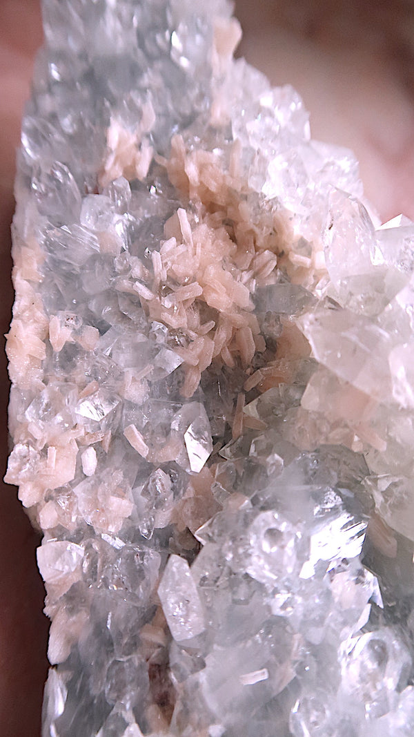 Special: Large Apophyllite Flowers & Stilbite