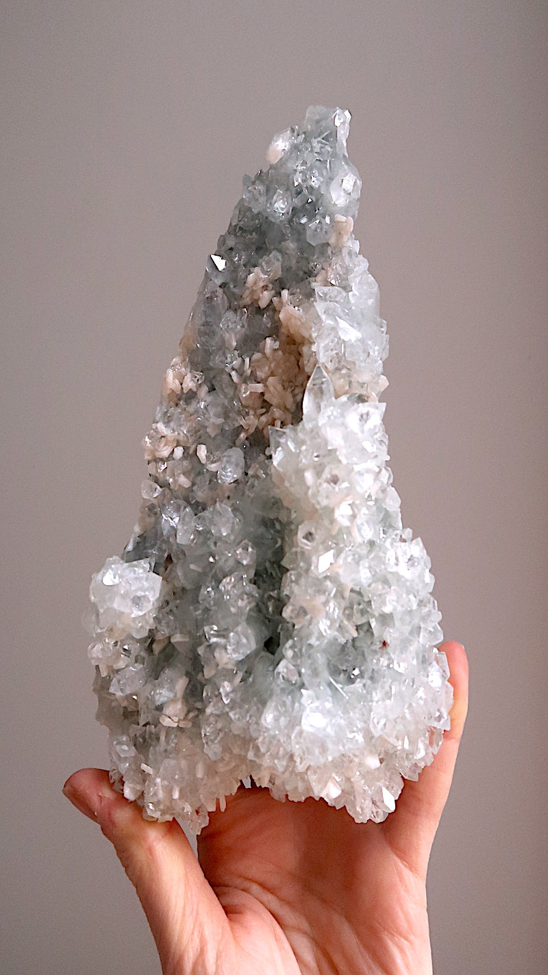 Special: Large Apophyllite Flowers & Stilbite