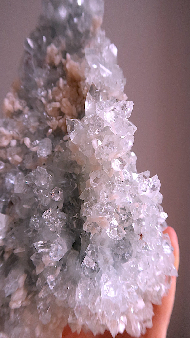 Special: Large Apophyllite Flowers & Stilbite