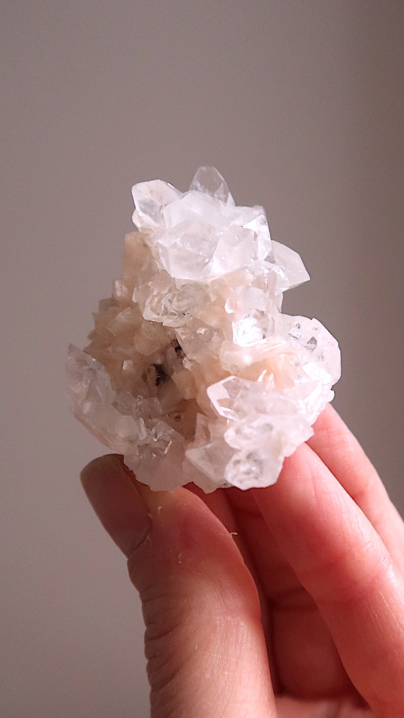 Premium Clear Apophyllite Cluster
