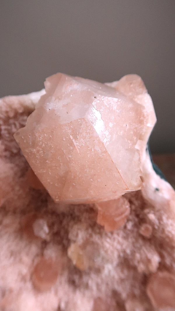 Special: Large Pink Apophyllite