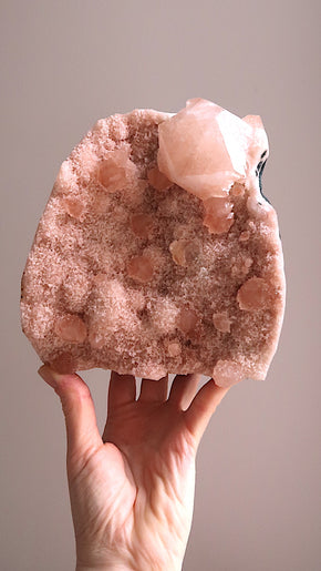 Special: Large Pink Apophyllite