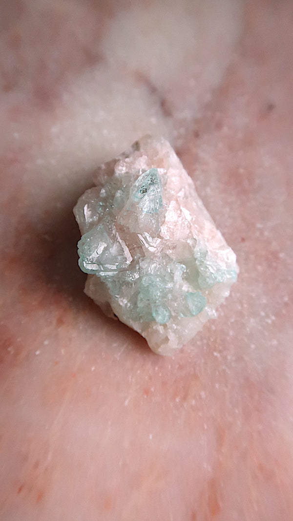 Green & Pink Apophyllite