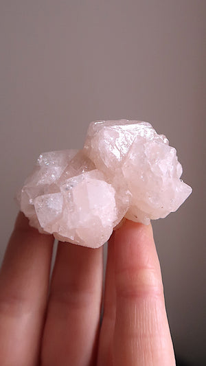 Pink Apophyllite Cluster