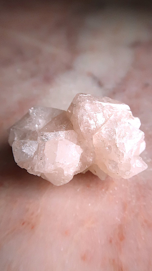 Pink Apophyllite Cluster