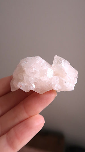Pink Apophyllite Cluster