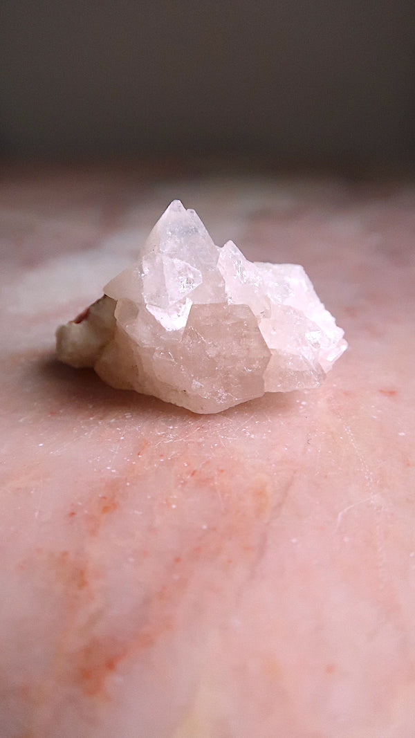 Pink Apophyllite Cluster