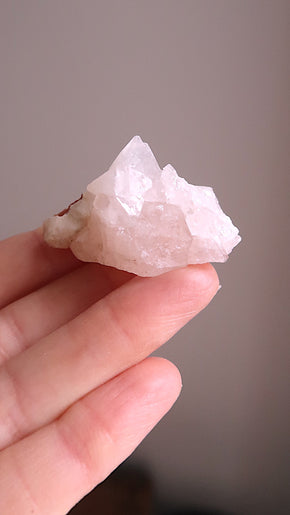 Pink Apophyllite Cluster