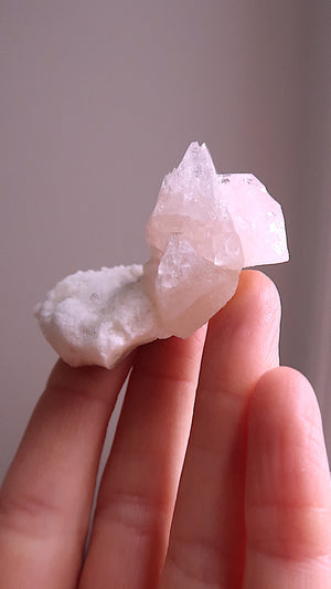Pink Apopohyllite Cluster
