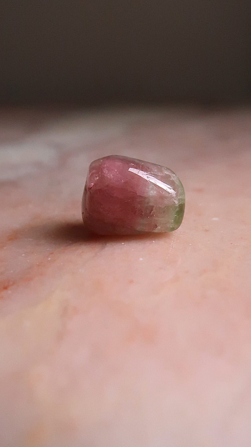 Watermelon Tourmaline