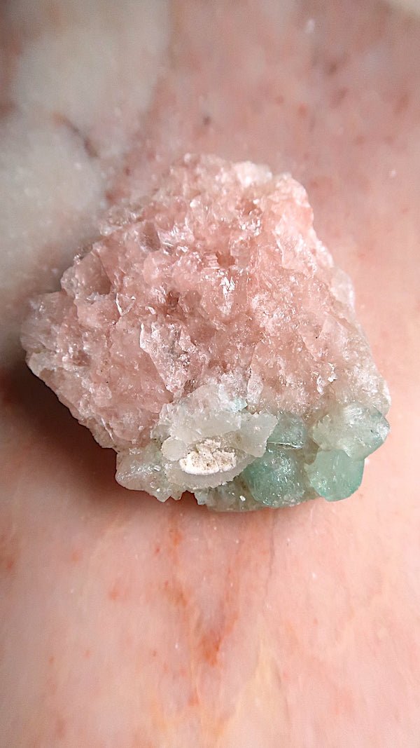 Pink Apophyllite Cluster