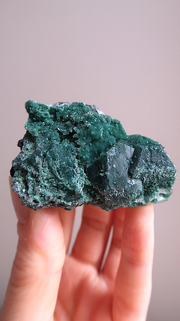 Rare Deep Green Apophyllite