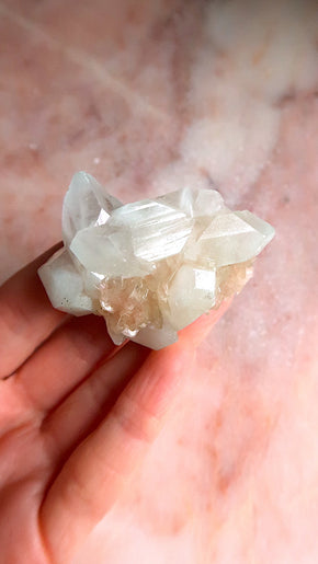 Pastel Green Apophyllite