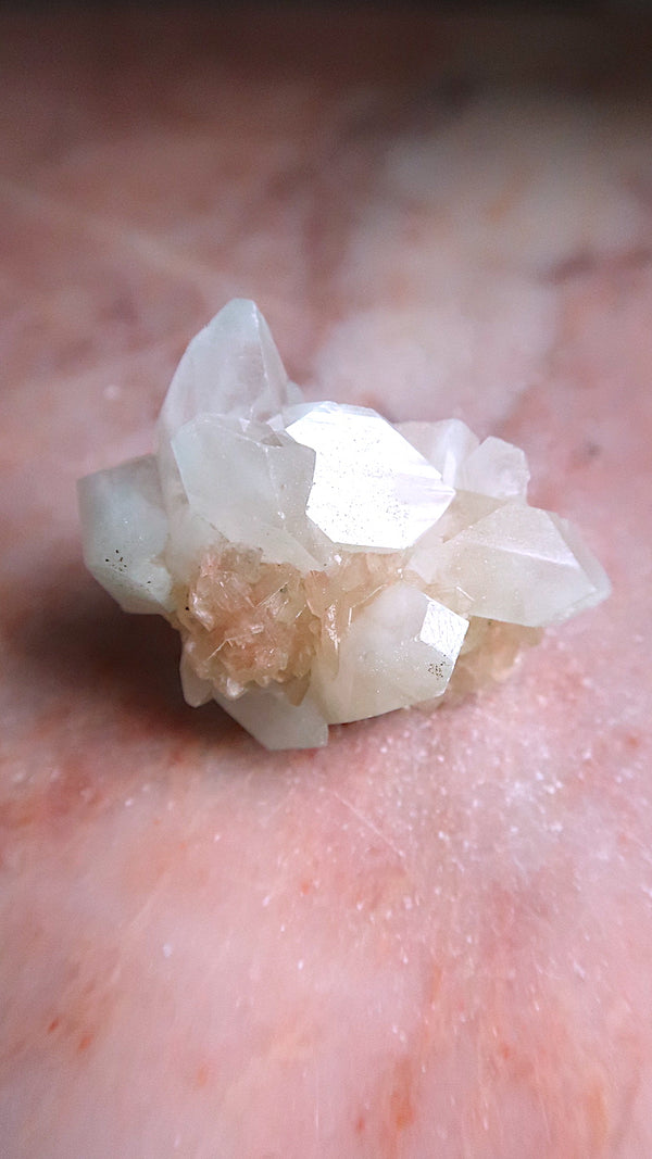 Pastel Green Apophyllite