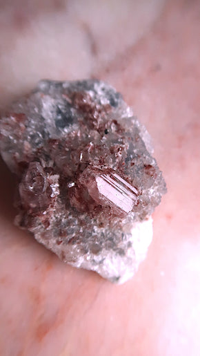 Clear Apophyllite Cluster
