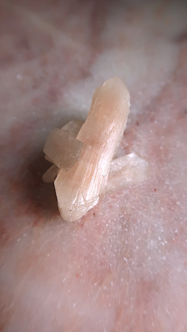 Premium Peach Stilbite Blade Cluster