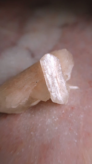 Premium Peach Stilbite Blade Cluster